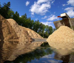 Storage of wooden biomass