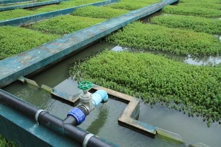 Wastewater Treatment Plant - Indonesia