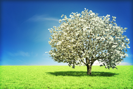 Money tree Raising money, as if nature had something to do with it